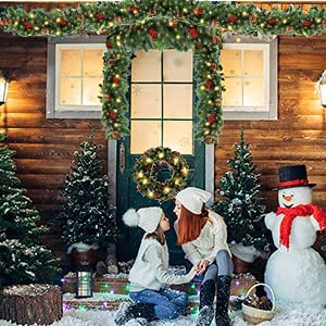 MOONSUN Christmas Ornaments Decorations Dead Branches Vine Ring  Frosted Snowy Bristle Pine Artificial Fir Clear Prelit LED Battery Operated Garland, 6" (Green)