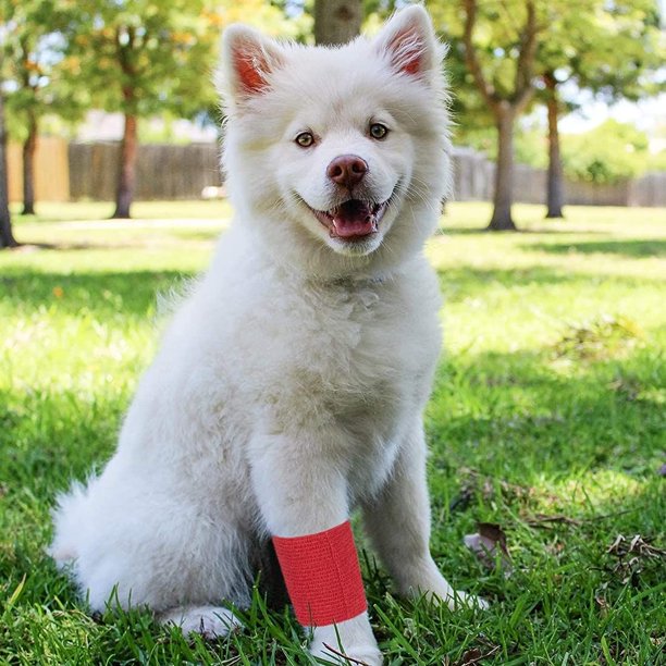 MoonSun Self Adhesive Bandage Wraps, 3 inch x 5 yards 12 Rolls Cohesive Vet Elastic Adhesive Tape, Athletic Tape, Hand & Wrist Wraps, Ankle wrap, Premium-Grade Medical Stretch Wrap 12 Colors